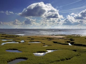 Natuurmonumenten-Dre van Eekelen-3236x2160-NAMO119679