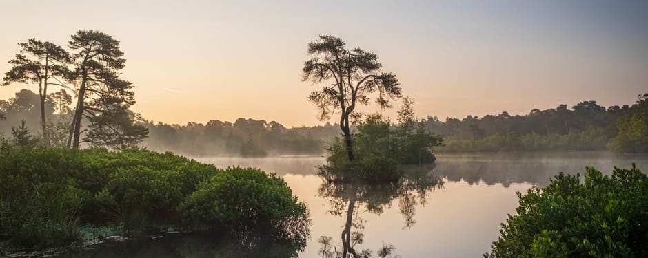 Oisterwijkse bossen en vennen