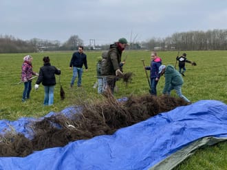Plantdag Absbroek
