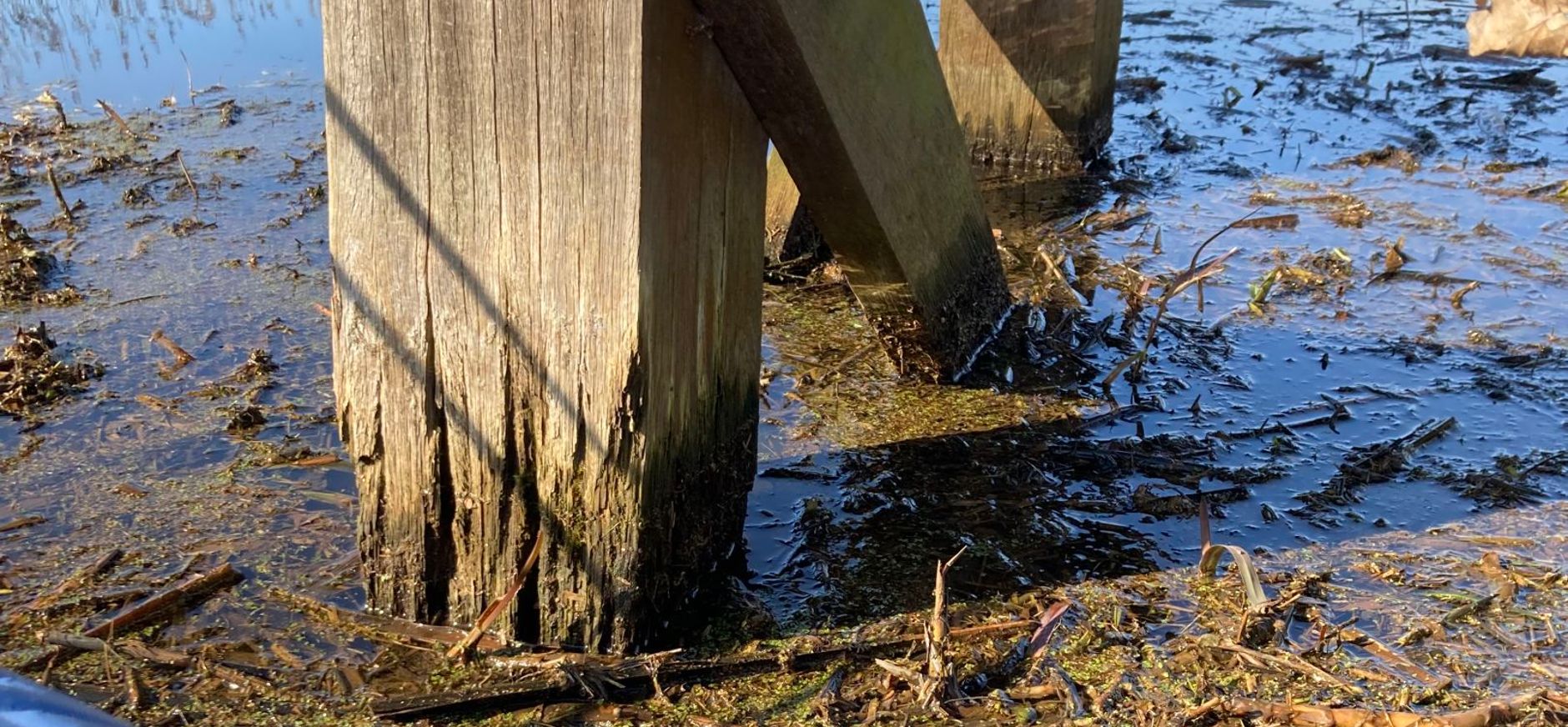 De brug over de Veengoot op Hackfort is in slechte staat en nu afgesloten voor gebruik Op Hackfort beheert en onderhoudt Natuurmonumenten zo’n 7 bruggen. We wisten dat er onderhoud nodig was. Helaas is bij inspectie gebleken dat meerdere bruggen in erg slechte staat verkeren. De brug over de Veengoot is zelfs zo slecht dat we hebben moeten besluiten deze onmiddellijk af te sluiten.