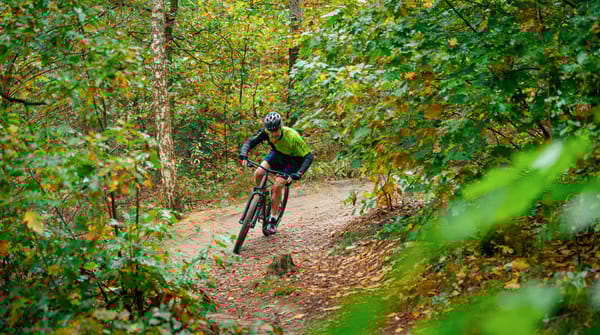 Mountainbiker in het bos