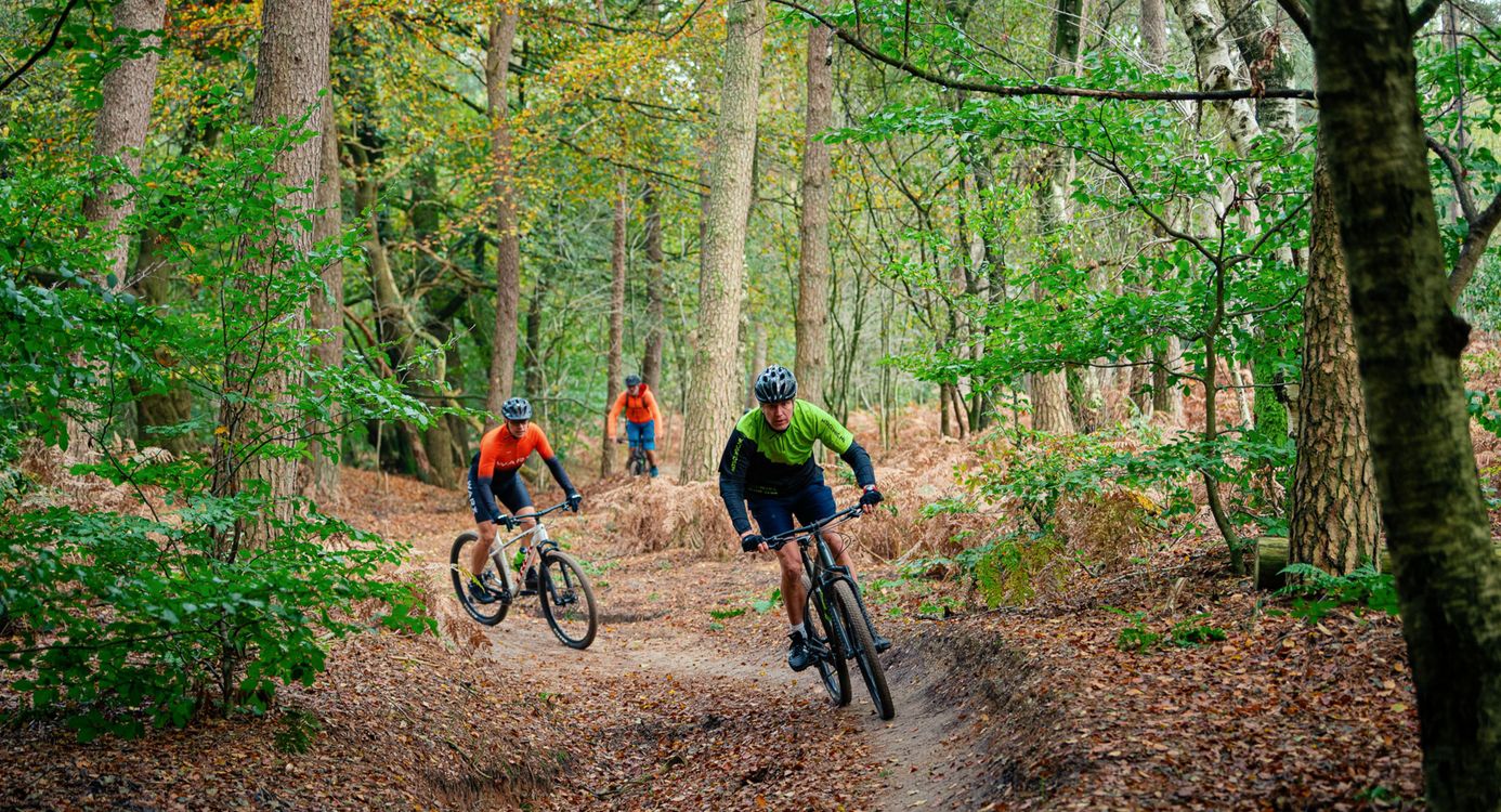 Mountainbikers die op je af komen fietsen door het bos