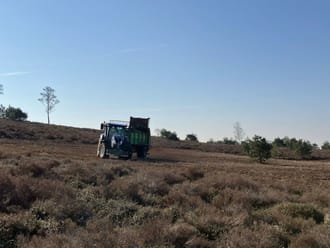sprengenberg heide akker