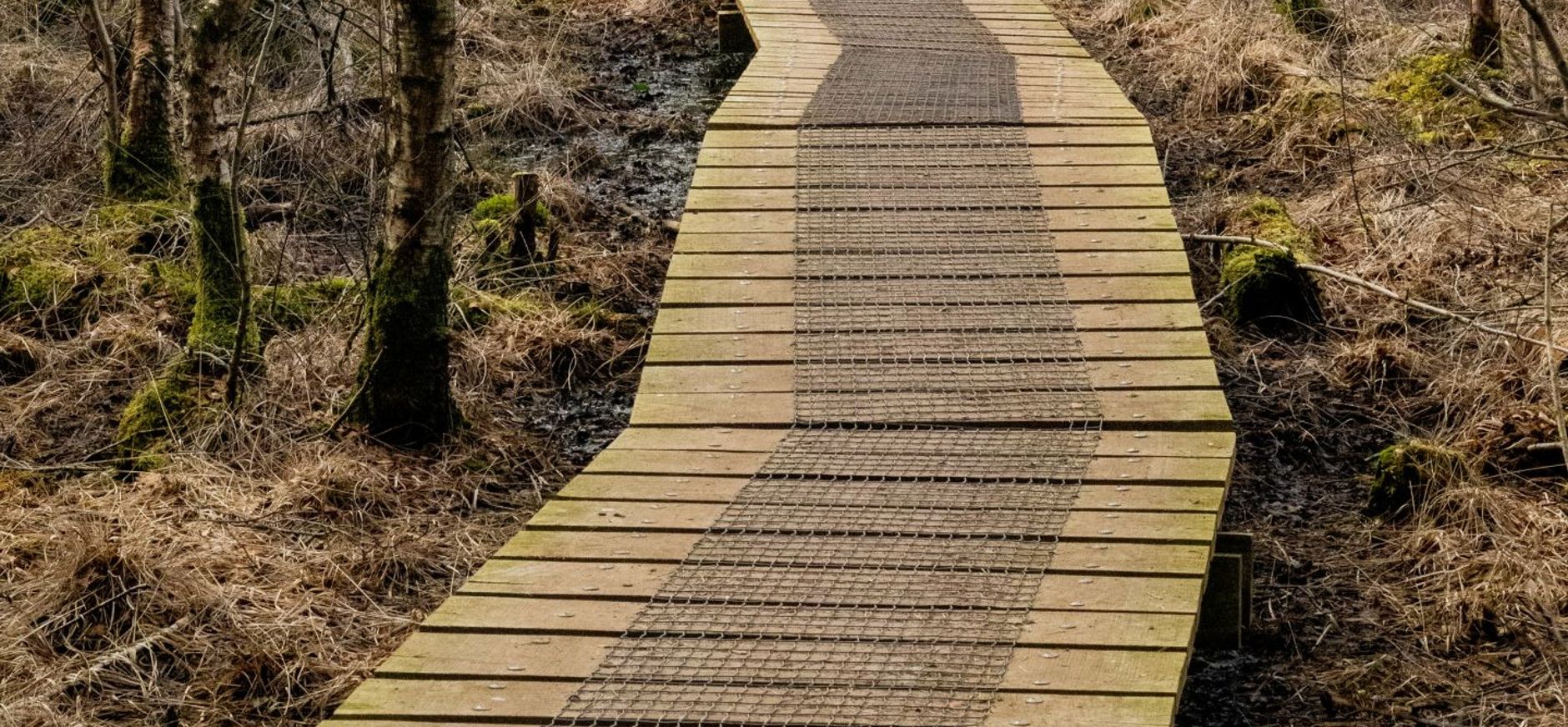 Vlonderpad Witte Veen Vlonderpad Witte Veen