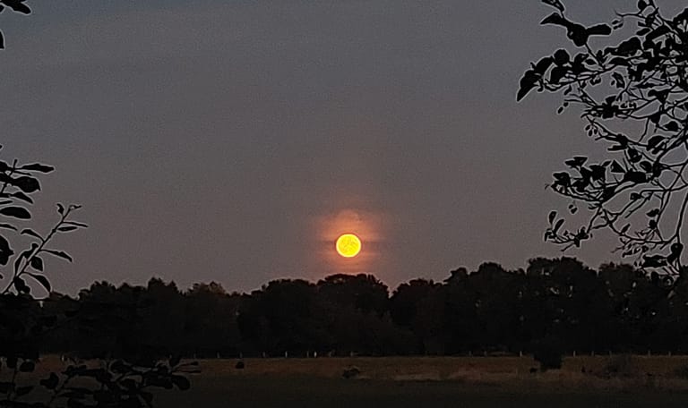 volle maan