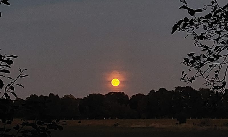 volle maan