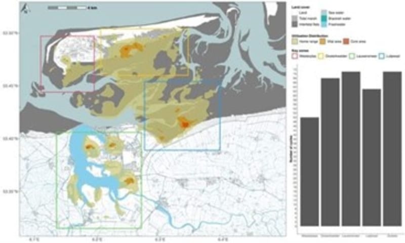 Kaart lepelaars Schiermonnikoog