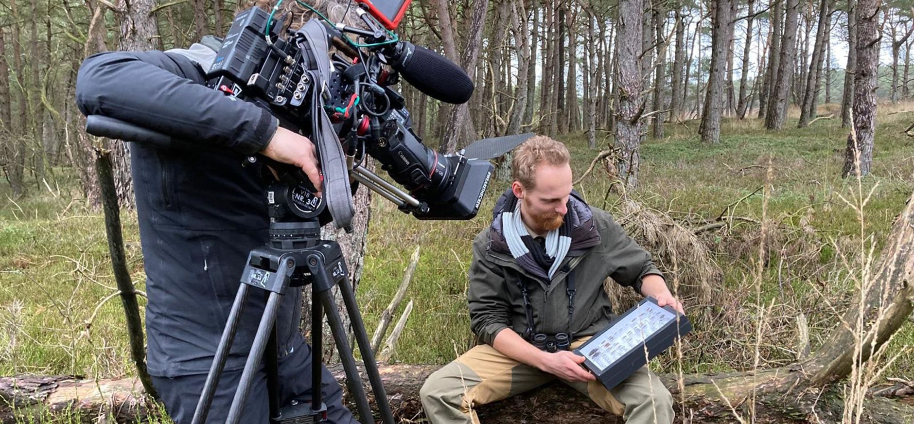 Opnamedag BinnensteBuiten doodhoutkevers met onderzoeker Rick