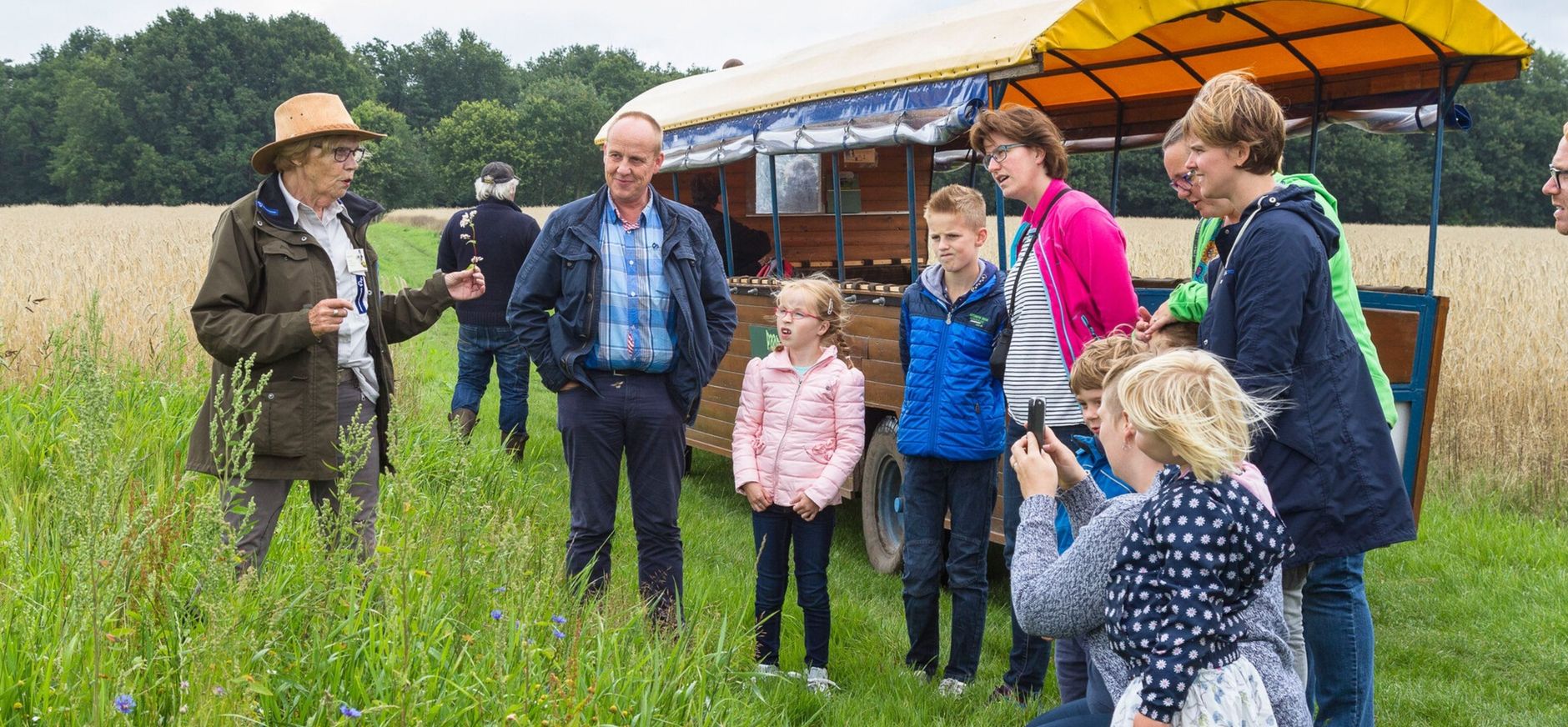 Huifkartochtexcursie in het Dwingelderveld