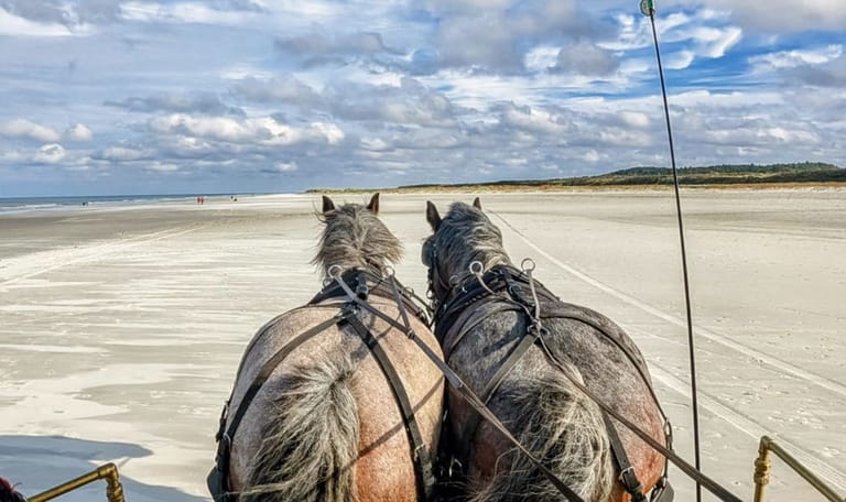 Huifkar strand