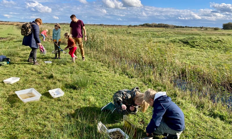 Speuren naar waterbeestjes