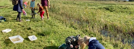 Speuren naar waterbeestjes