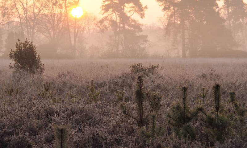 Buurserzand zonsopkomst Buurserzand zonsopkomst