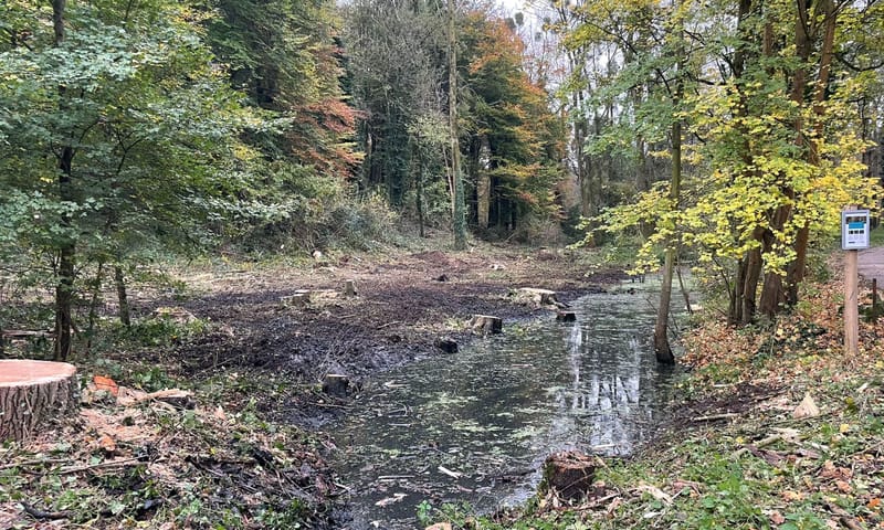 Broekbos Terworm na verwijderen populieren