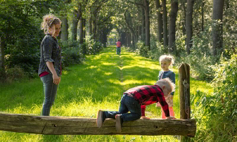 Gezin in het bos, een van de kinderen klimt over hekje