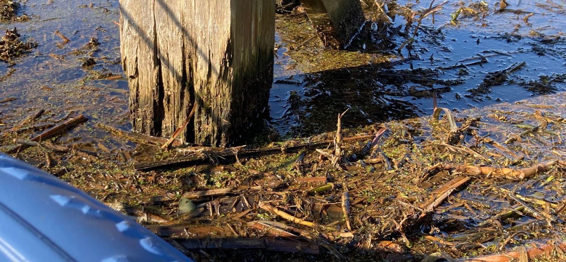 De brug over de Veengoot op Hackfort is in slechte staat en nu afgesloten voor gebruik Op Hackfort beheert en onderhoudt Natuurmonumenten zo’n 7 bruggen. We wisten dat er onderhoud nodig was. Helaas is bij inspectie gebleken dat meerdere bruggen in erg slechte staat verkeren. De brug over de Veengoot is zelfs zo slecht dat we hebben moeten besluiten deze onmiddellijk af te sluiten.
