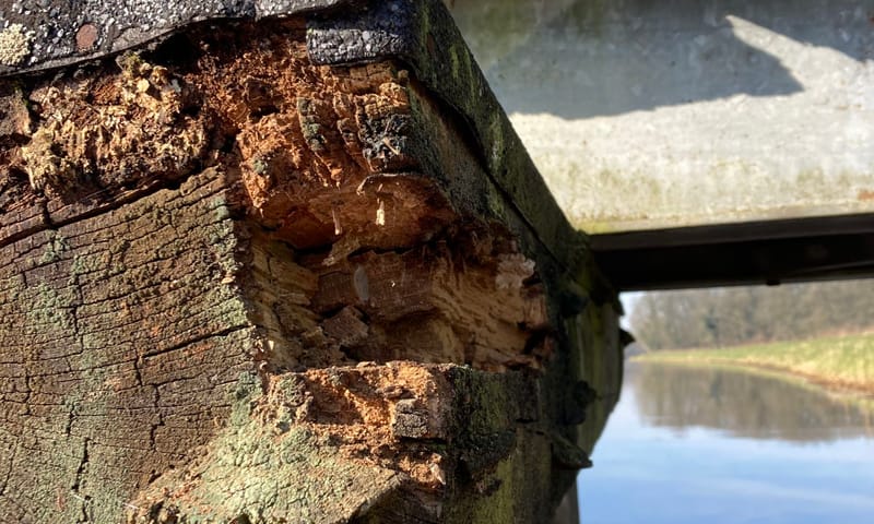 Onveilige situatie ontstaan voor wandelaars