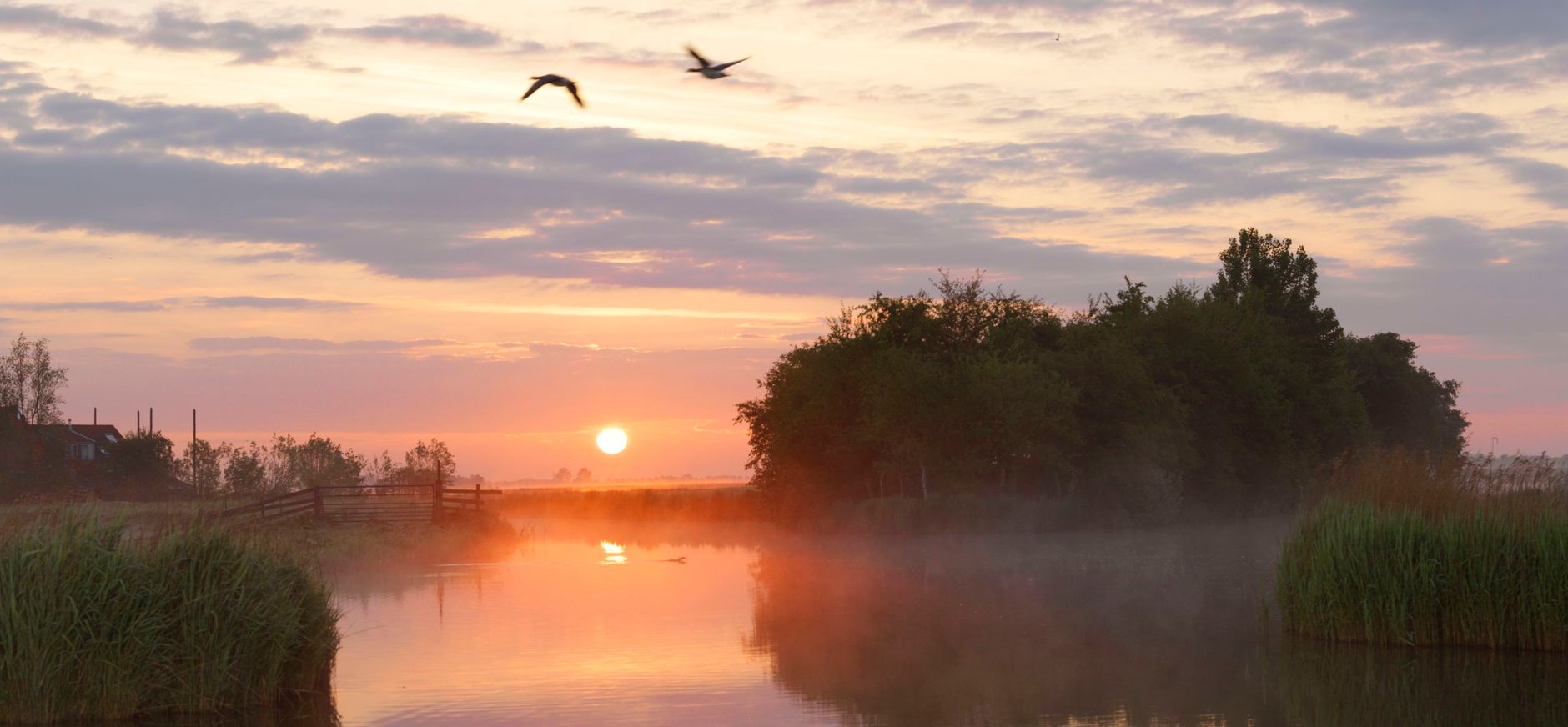 Wormer en Jisperveld
