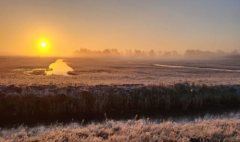Zonsopkomst in De Wieden