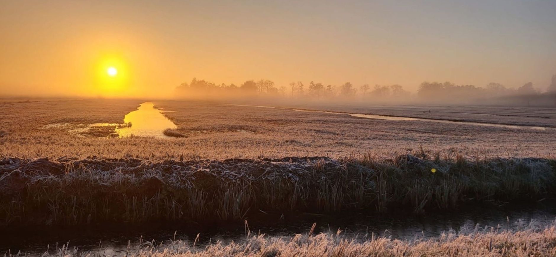 Zonsopkomst in De Wieden