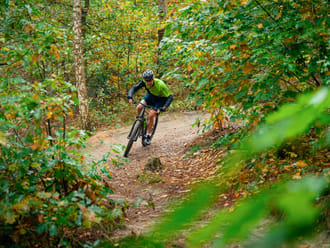 Mountainbiker in het bos