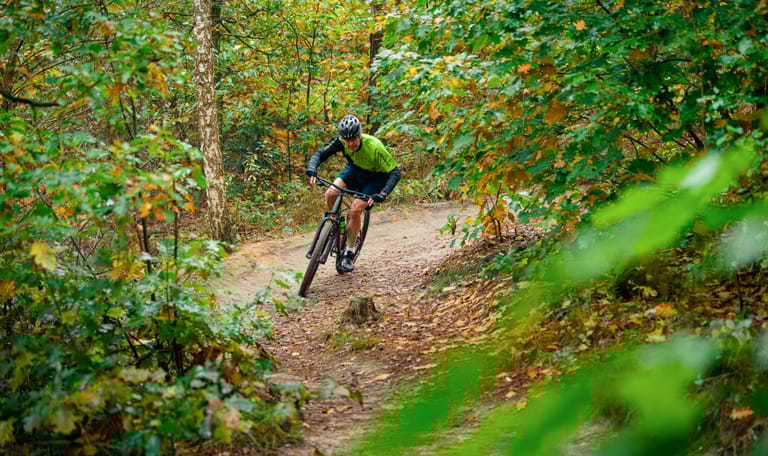 Mountainbiker in het bos