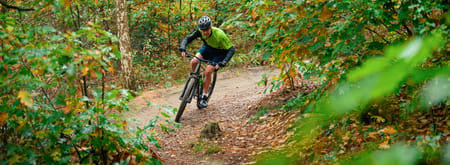 Mountainbiker in het bos