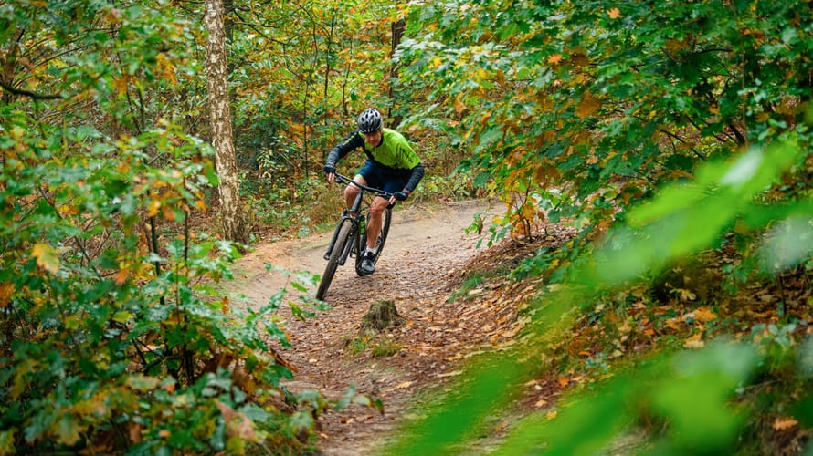 Mountainbiker in het bos