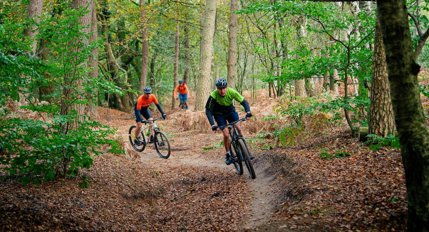 Mountainbikers die op je af komen fietsen door het bos