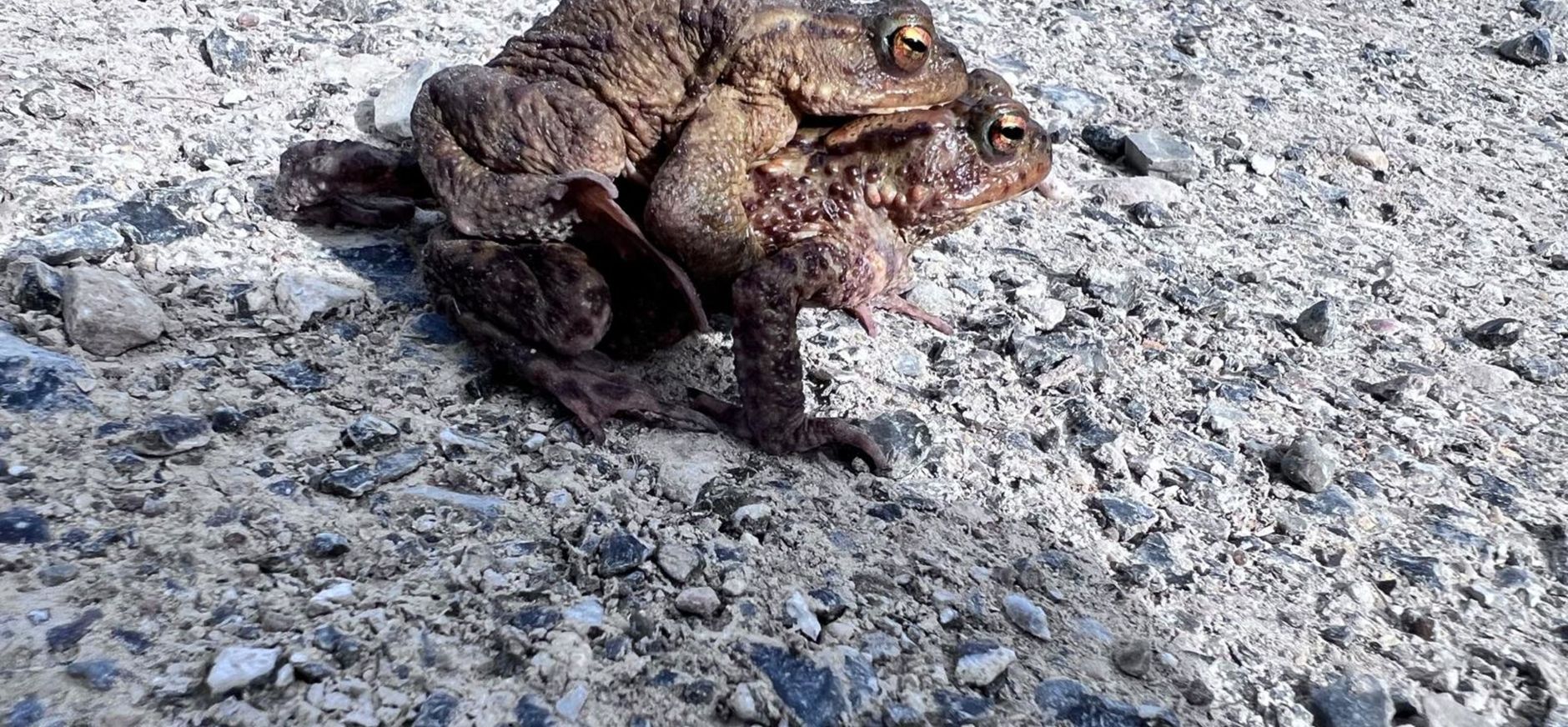 Parende padden Parende padden