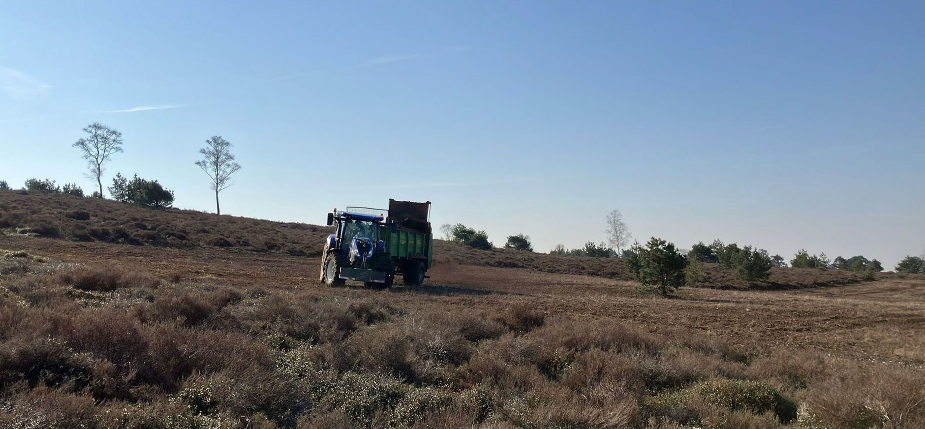 sprengenberg heide akker