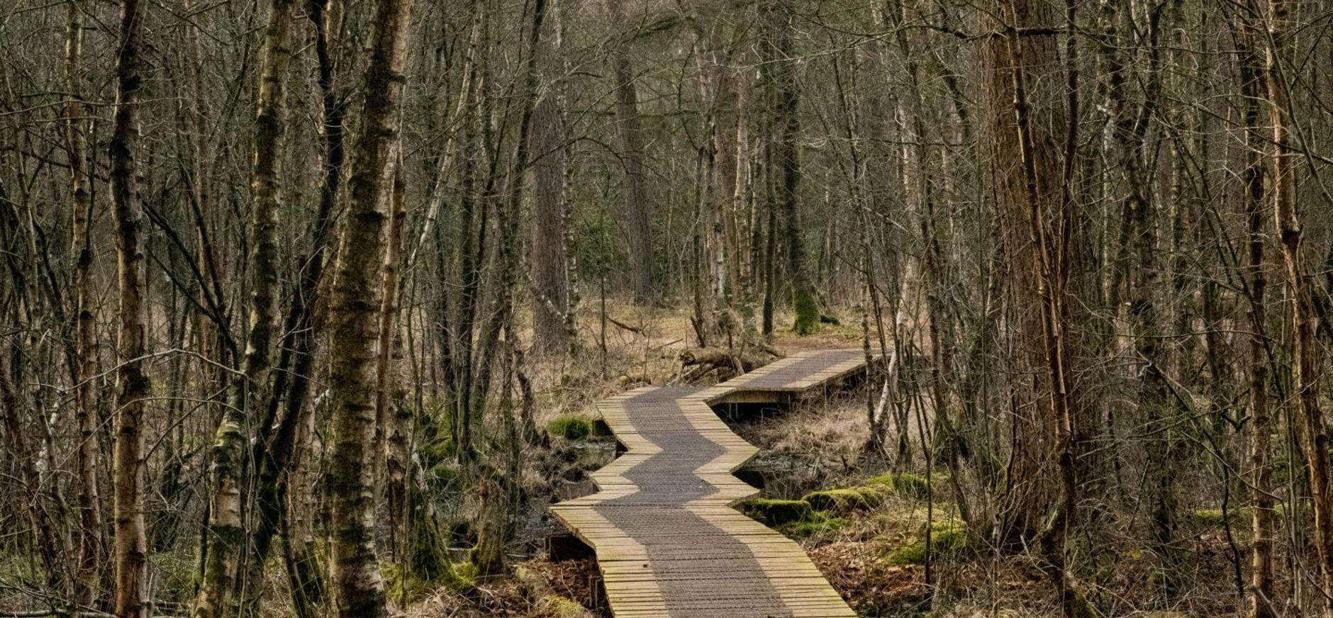 Vlonderpad Witte Veen