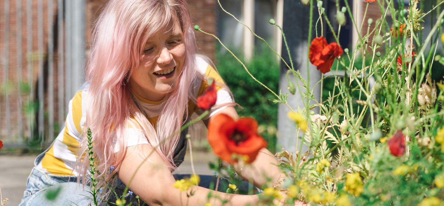 Wilde bloemen Vrouw bekijkt wilde bloemen in haar tuin