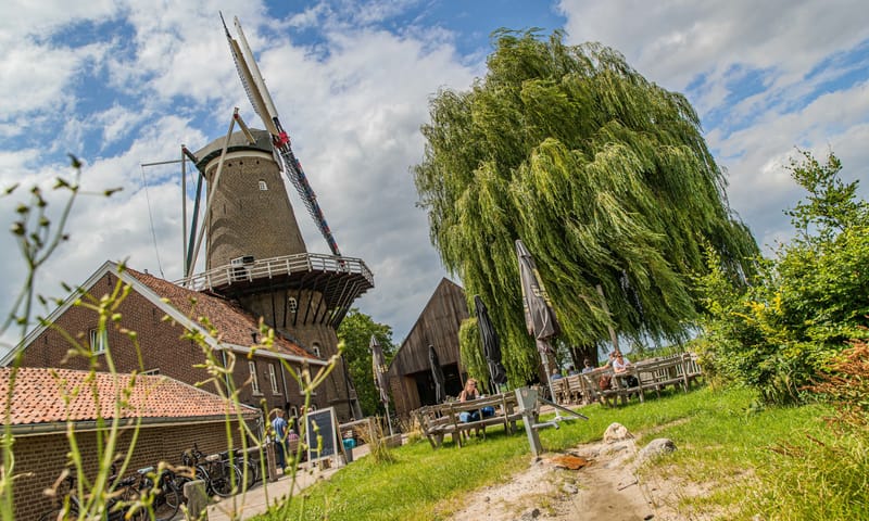 Hompesche Molen en terras