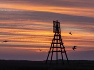 Zonsopkomst op Griend