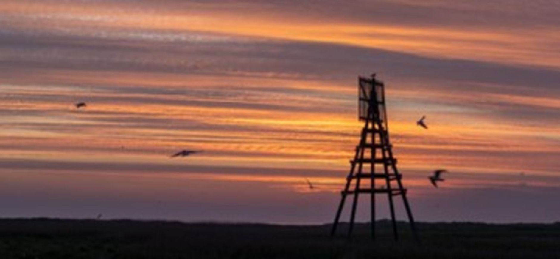 Zonsopkomst op Griend
