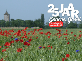 25 jaar groene groei Utrecht