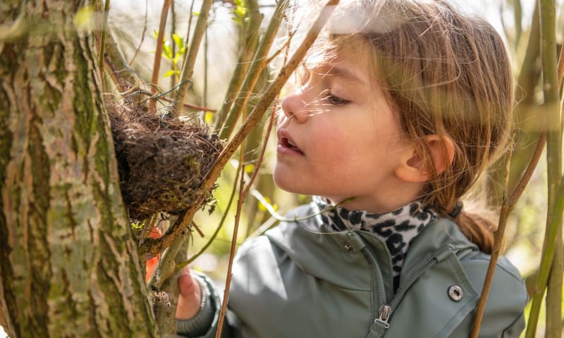 Meisje spiekt in een nestje