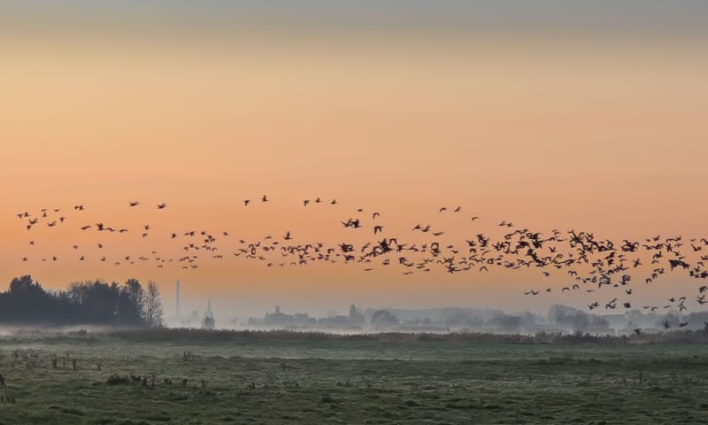 Ackerdijkse Plassen Ackerdijkse Plassen