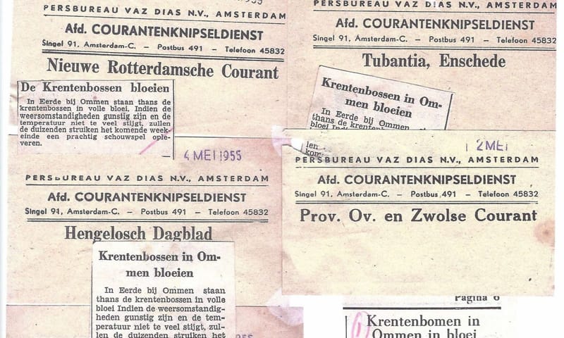 Krantenartikelen over de krentenbloesem Eerde Krantenartikelen over de krentenbloesem Eerde