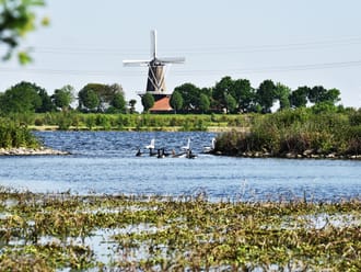 Hompesche Molen in het groen