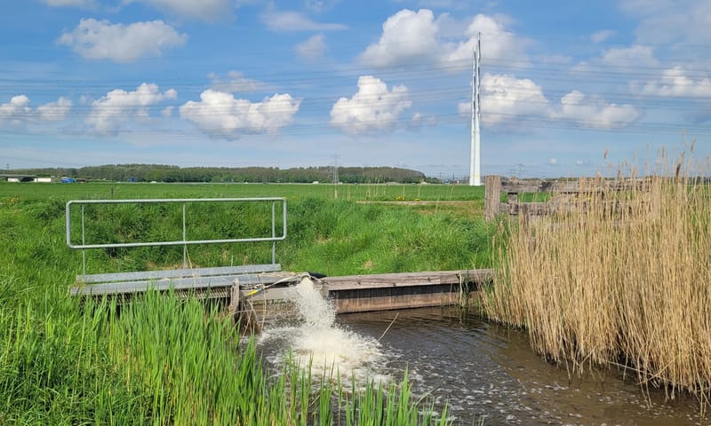 de poel