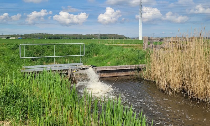 de poel