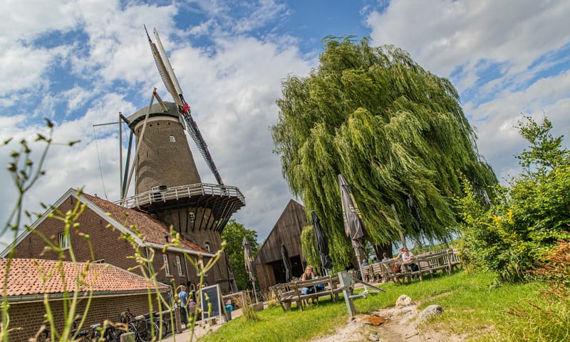 Hompesche Molen en terras