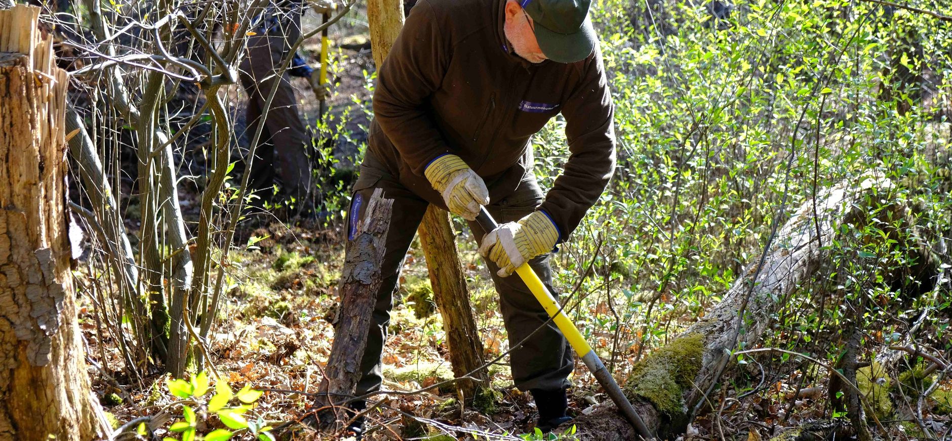 Vliegende kiep prunusbestrijding