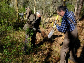 Bestrijding Amerikaanse vogelkers in de Loonse en Drunense Duinen