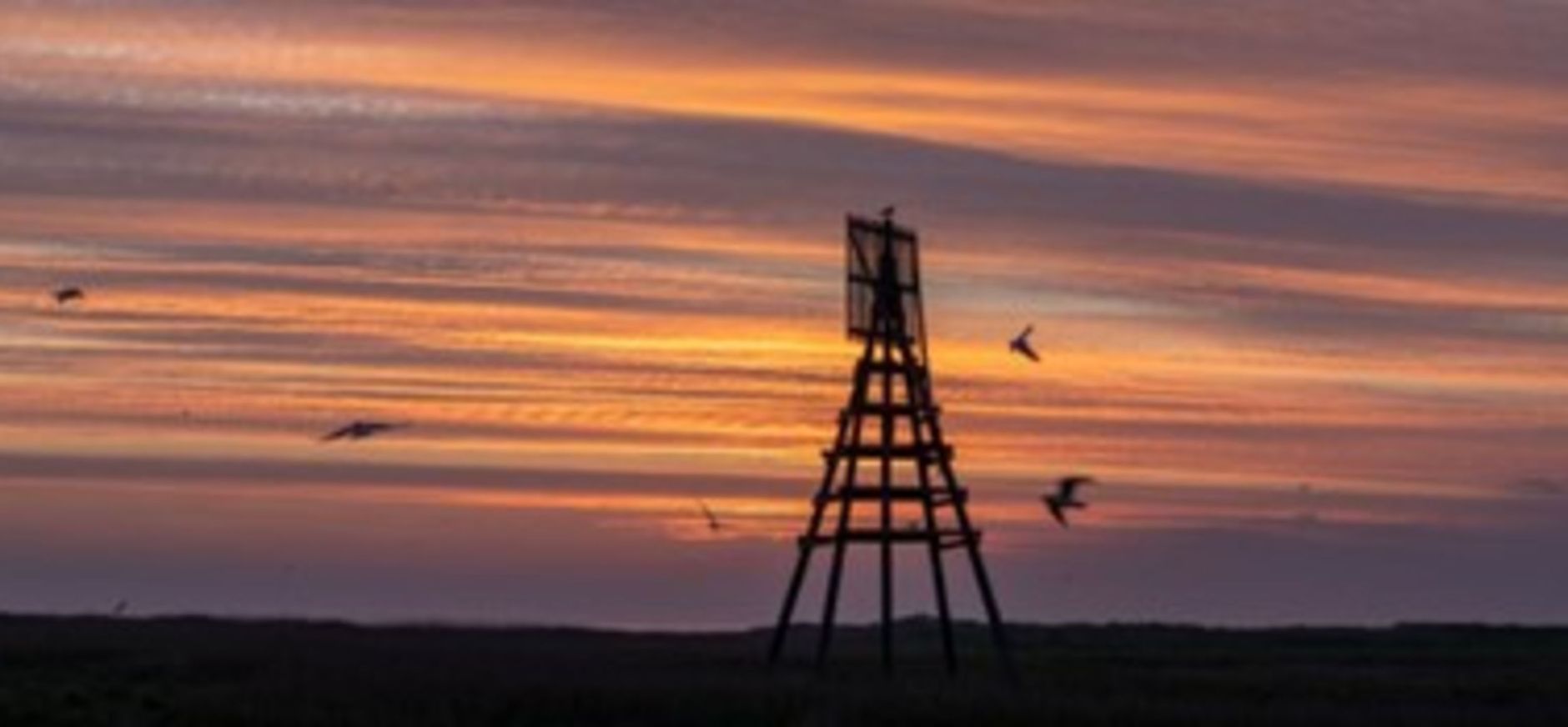 Zonsopkomst op Griend