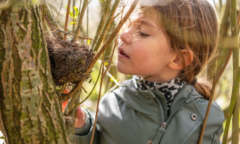 Meisje spiekt in een nestje