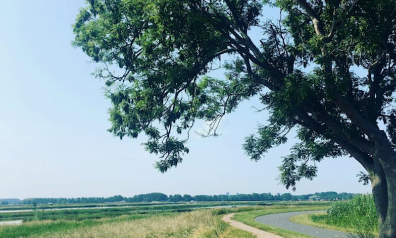 Wandel event Rotterdams ommelandpad