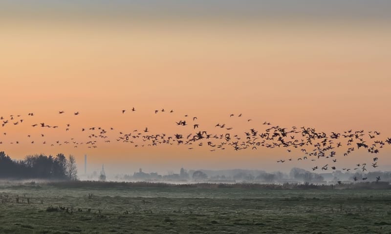 Ackerdijkse Plassen Ackerdijkse Plassen